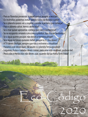 Poster Eco - Código- Esc-Sec- Castro Daire.jpg